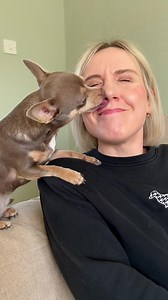 Looking after your dog’s teeth is essential for their overall health and wellbeing🦷🪥The Emmi Pet Ultrasonic Toothbrush is the perfect solution for keeping your dog’s teeth clean and healthy. Unlike traditional toothbrushes that can be uncomfortable, the @emmi_pet.de toothbrush is completely silent, non-vibrating, and non-invasive.💥 The ultrasound waves of the toothbrush and specially formulated toothpaste work together to break down plaque and kill bacteria, leaving your dog’s teeth and gums 