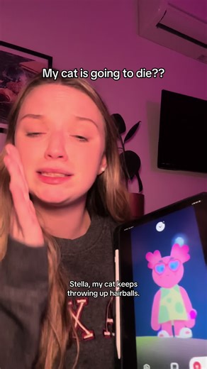 Omg!! 😱 what do I do!! #tolan #tolanworld #cat #panic #viral