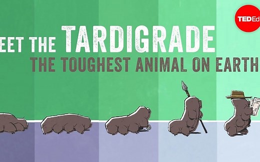 【TED科普】地球上最坚强的动物（中英字幕）