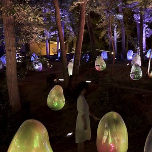 2.6K views · 224 reactions | “teamLab: Resonating Life in the Acorn...