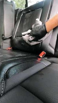 Hyperclean Revive at DJDETAIL Supply #automobile #newjersey #carcleaning #detailing