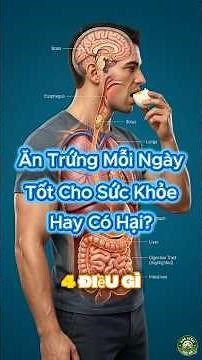 Điều gì xảy ra nếu bạn Ăn Trứng mỗi ngày? Tốt hay Gây hại? #dinhduong
