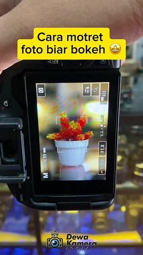 Tips Foto Bokeh Menggunakan Kamera Canon