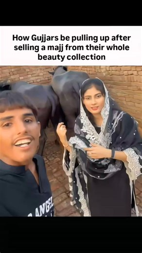 𝘽𝘼𝙏𝙈𝘼𝙉 🦇 on Instagram: "Money tree #viral #foryou #fyp #memes #explorepage #relatable"