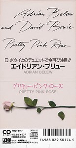 Adrian Belew And David Bowie - Pretty Pink Rose