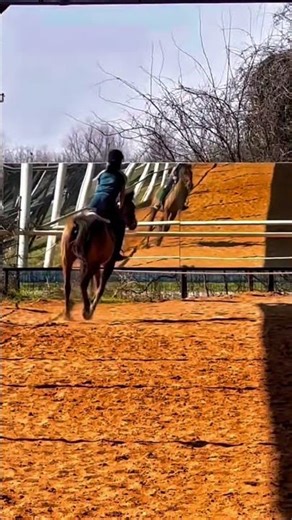 Two-point canter( so funnn )