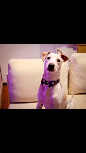 Day 47 of My Photography Journey on TikTok