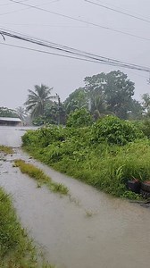 57K views · 4.4K reactions | Tuana gyod niambak na | Mervin Llego | Facebook