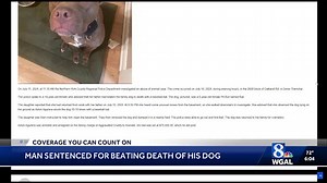 Man sentenced for beating death of dog