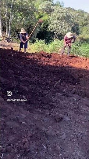 Dia 1 construção de um chalé no sítio #chale #construindoumsonho #construindodozero