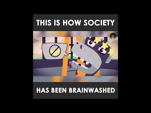 Five monkeys experiment