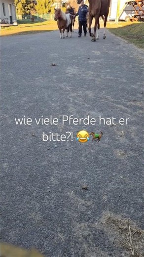 Er bringt alle Pferde gleichzeitig rein 😂🐎 #shorts