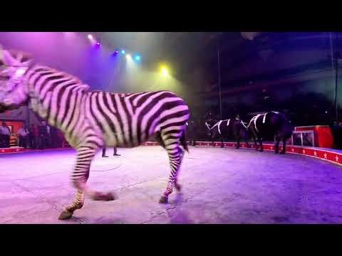 Carden Circus is ALL NEW in 2026.. and it's SPECTACULAR!