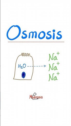 Osmosis - Diffusion - Cell Transport - Physiology...#medical #biology #nurse #doctor #college