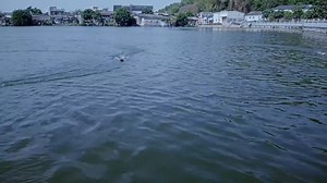 Watch RC Boats for Adults and Kids, Boats for Pools and Lakes on Amazon Live