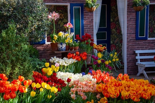 Direct vs. Indirect Light: Find the Right Sunlight Levels for Plants