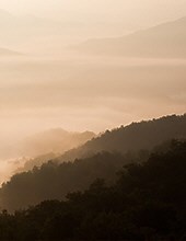 Dell Bartlett Oliver - 2022 - Catholic Cemeteries & Funeral Homes