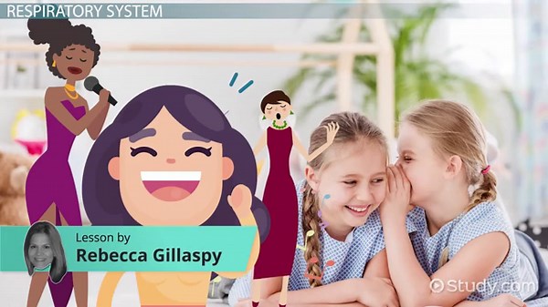Respiratory System Function Lesson for Kids