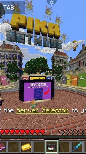 Best public server ip:play.pika-network.fun