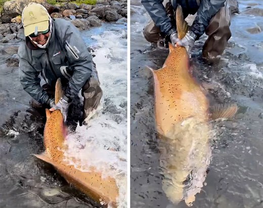 Watch: ‘Absolute Beast’ of a King Salmon Proves Why the Next World Record Will Come from Argentina
