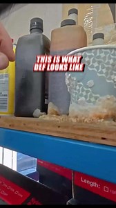 1.2M views · 5.2K reactions | What Happens When You Put DEF In The Fuel Tank?? #DEF #diesel #automotive #fuel #carrepair #trucks #mechaniclife #repairtips #shocking #carproblems | Casey LaDelle | Facebook