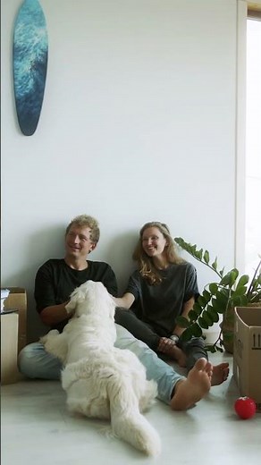 Couple Having Fun With Their White Dog || NCR Videos