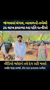 1M views · 10K reactions | ખરેખર, આવા મહેનતુ લોકોને જ ભારત રત્ન મળે, ભારતને મહાસત્તા બનાવવાં આવા લોકોજ મોટો ફાળો આપે છે. #bannibuffalo #ખેડૂત #virulvideo #DairyFarming #milk #dairy #ગુજરાત #પશુપાલન #trendingvideo | Farming Yogi | Facebook
