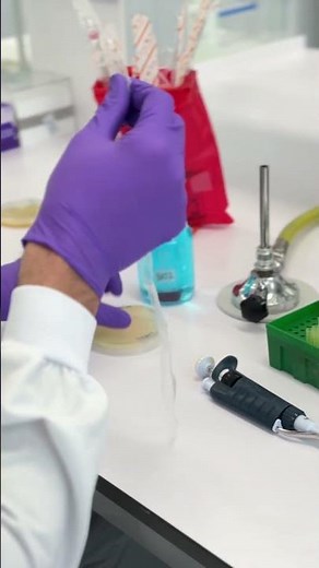 In Vitro and In Vivo Studies in the Oral Cavity