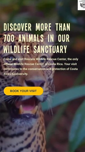 ✨ Every adoption helps provide care, nourishment, and a better...