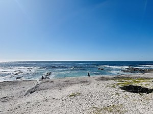 Milton Beach & Tidal Pool / Sea Point - Cape Town with Kids