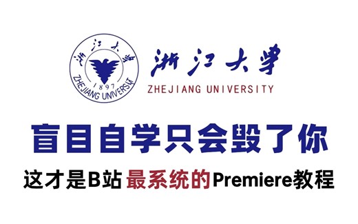 【整整600集】浙江大学196小时讲完的Premiere教程（视频剪辑）全程干货无废话！学完进阶Premiere剪辑大佬！这还学不会，我退出影视后期圈！