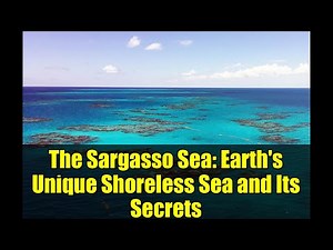 The Sargasso Sea: Earth's Unique Shoreless Sea and Its Secrets