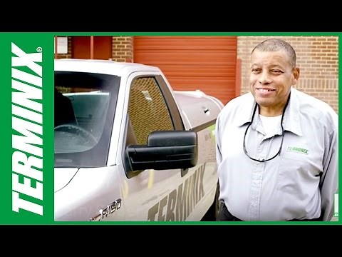 Our People: Meet Your Local Terminix Technicians