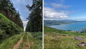 12 Best Walks in Louth (Cliff   Forest) in 2026