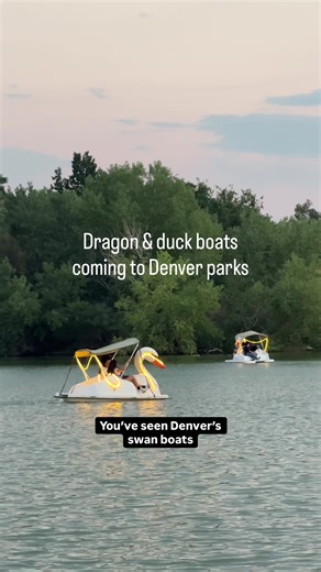 #FreeTheDuck #fyp #denver #colorado | Denver Colorado