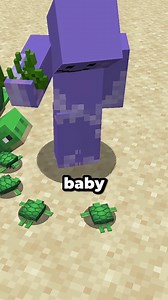 31K views · 458 reactions | What If Turtle Armor Was a Full Set in Minecraft #minecraft #minecraftmods #minecraftmemes #minecraftpe #minecraftbuilds | SeaWattgaming | Facebook