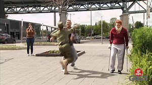 This is iconic #pranks | Just For Laughs Gags