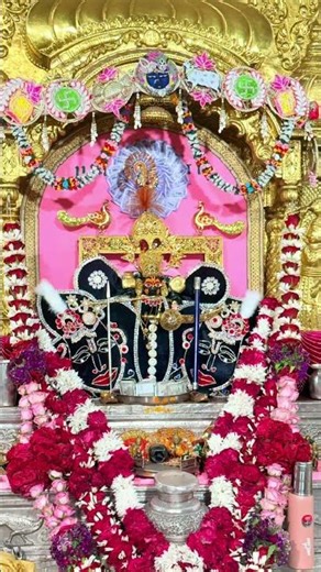 साँवरिया सेठ की जय हो आज मनमोहक दर्शन और अलौकिक दर्शन 5*अप्रैल*2026