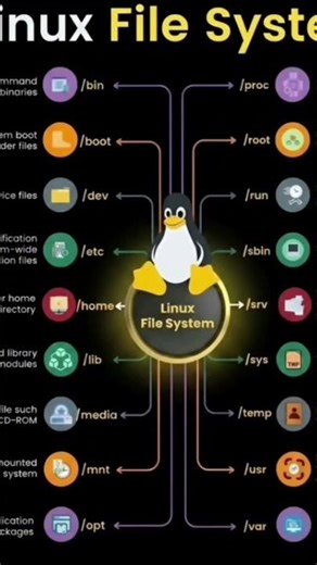 basic to advanced linux file system