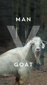 81 reactions · 15 shares | The not to be outdone Holden Colorado. Master of every terrain. | Holden | Facebook