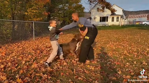 Training Tips from The Dogfather at Dark Dynasty K9s