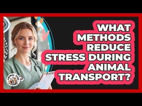What Methods Reduce Stress During Animal Transport?