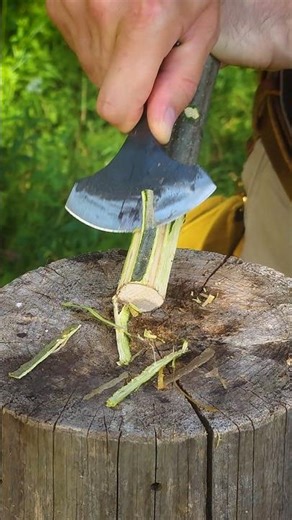 You NEED IT for survival in the wilderness #bushcraft #outdoors #camping