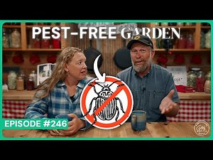 Stop Fighting Garden Pests. Do THIS Instead.