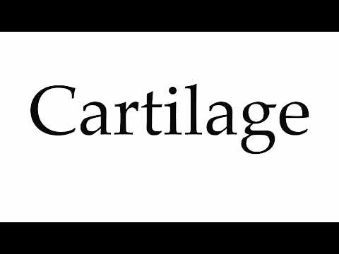 How to Pronounce Cartilage