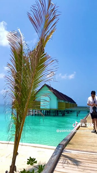 Enjoy Ocean Views with Beautiful Violin Music