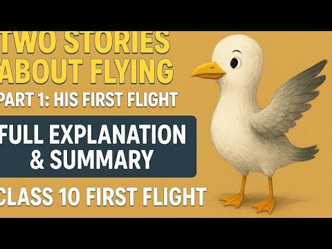 Two Stories About Flying –Part 1: His First Flight |Full Explanation & Summary|Class 10 First Flight