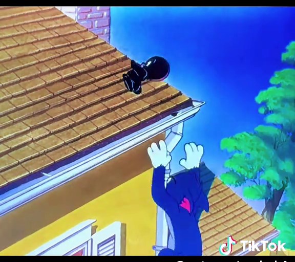 ragazzacartoonina su TikTok