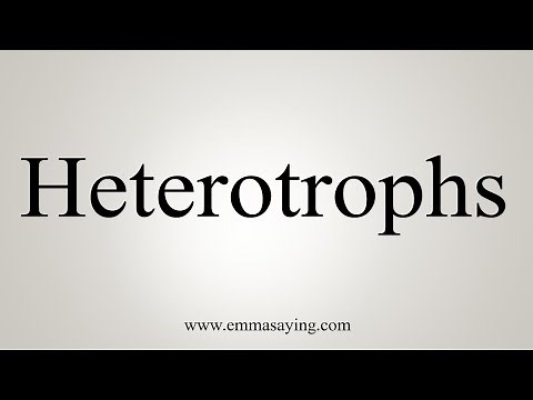 How To Say Heterotrophs