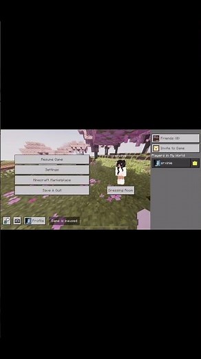 🔥 Fix Minecraft Bedrock Lag INSTANTLY + Vibrant Visuals